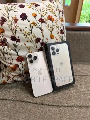 Apple iPhone 16 Pro Max (Used)