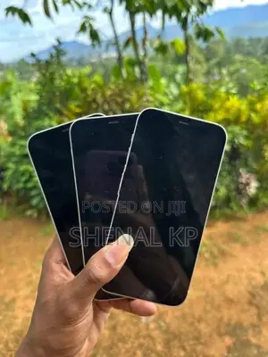 Apple iPhone 12 128GB (Used)