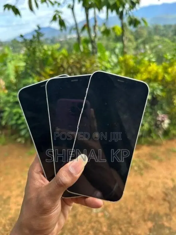 Apple iPhone 12 128GB (Used)