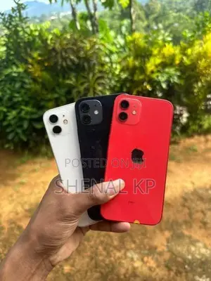 Apple iPhone 12 (Used)