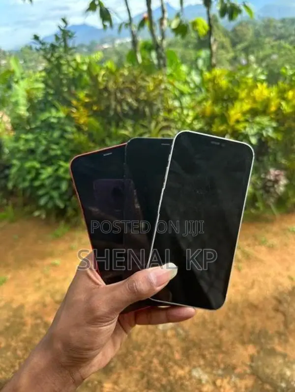 Apple iPhone 12 (Used)