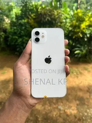 Apple iPhone 12 (Used)