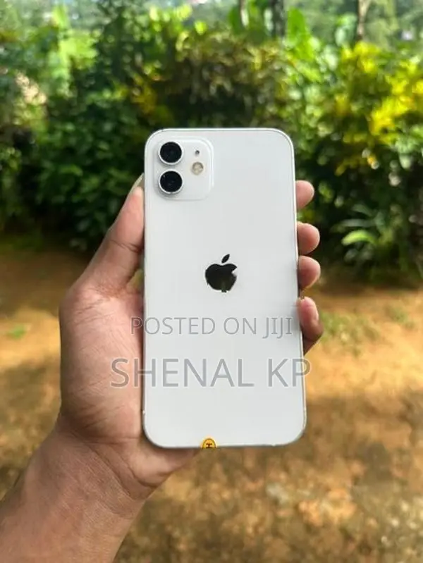Apple iPhone 12 (Used)