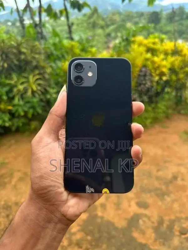 Apple iPhone 12 (Used)