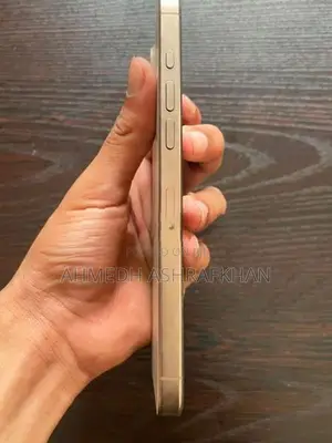 Apple iPhone 16 Pro Max (Used)