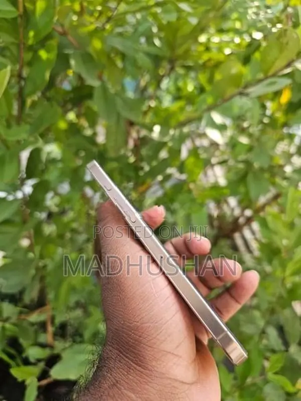 Apple iPhone 16 Pro Max (Used)