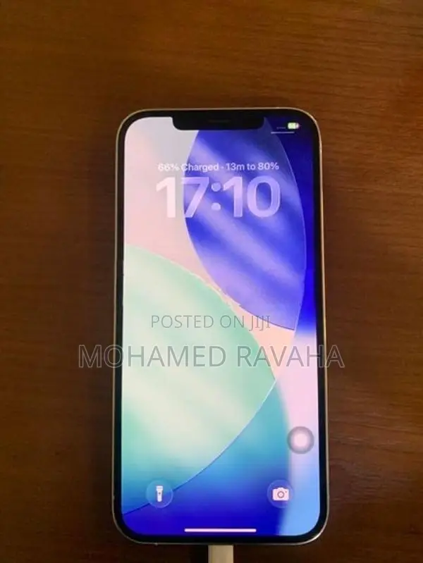 Apple iPhone 12 Pro Max (Used)