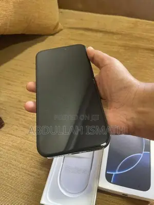 Apple iPhone 16 Pro Max (Used)