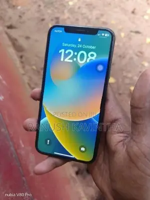 Apple iPhone X (Used)