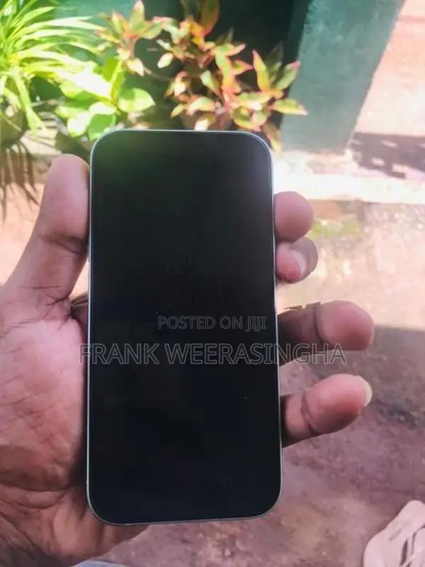 Apple iPhone 15 128GB (Used)