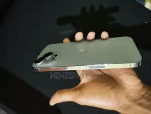 Apple iPhone 13 Pro Max (Used)