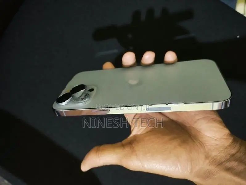 Apple iPhone 13 Pro Max (Used)