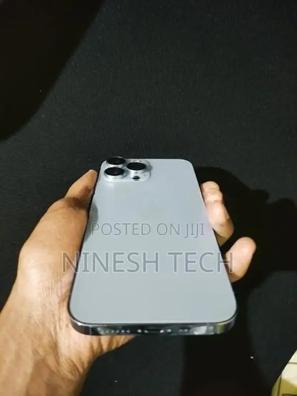 Apple iPhone 13 Pro Max (Used)