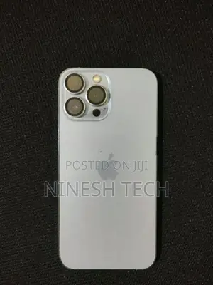 Apple iPhone 13 Pro Max (Used)