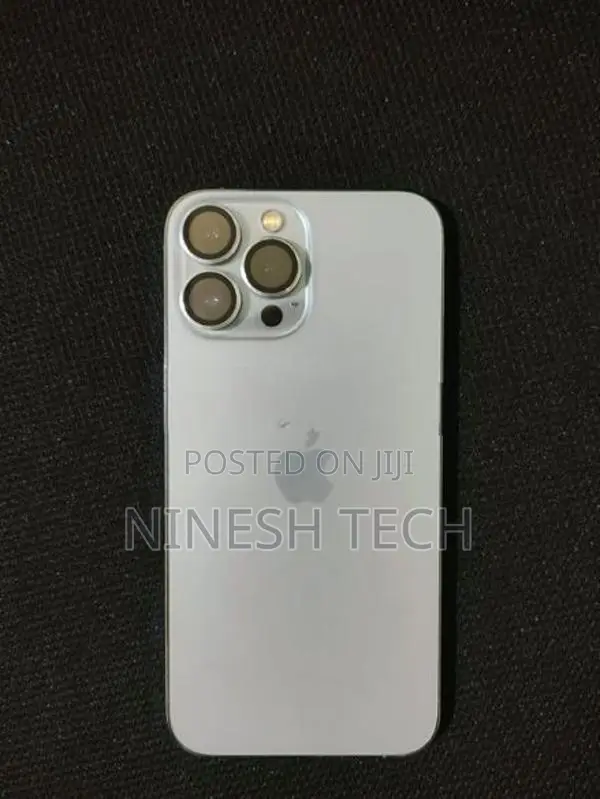 Apple iPhone 13 Pro Max (Used)
