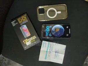 Apple iPhone 13 Pro Max (Used)