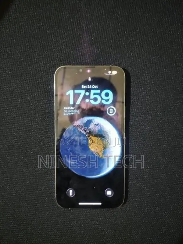 Apple iPhone 13 Pro Max (Used)