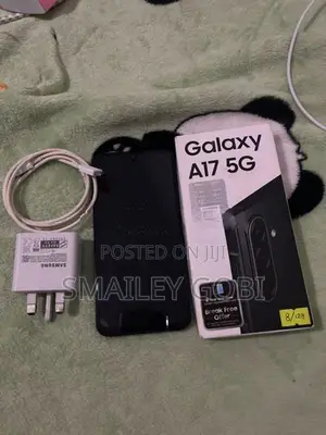 Samsung Galaxy A17 (Used)