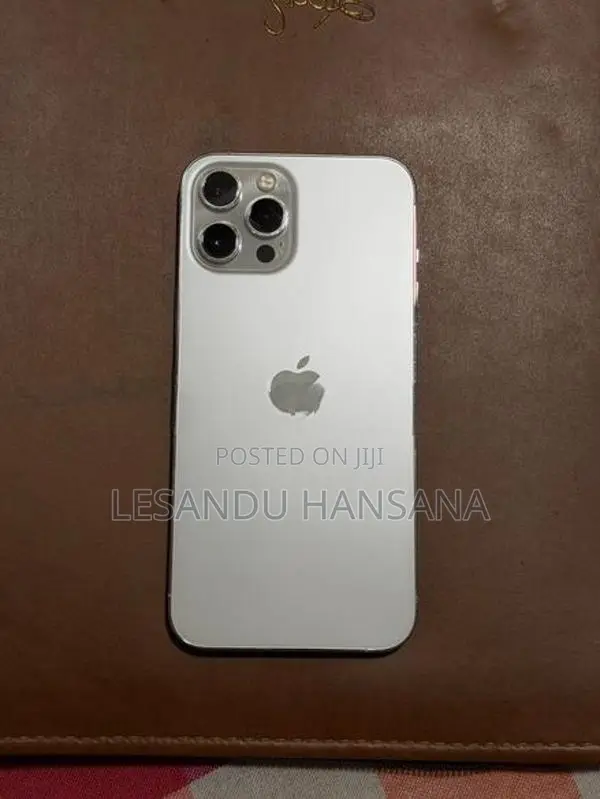 Apple iPhone 12 Pro Max 256GB (Used)