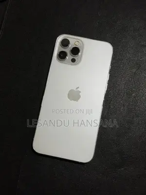 Apple iPhone 12 Pro Max 256GB (Used)
