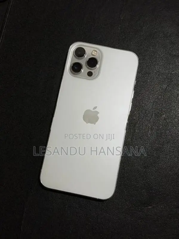 Apple iPhone 12 Pro Max 256GB (Used)