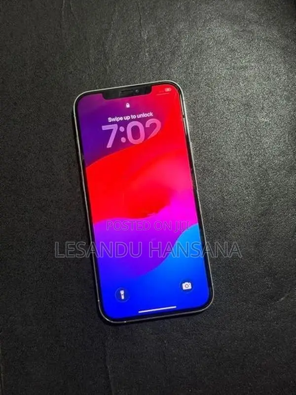 Apple iPhone 12 Pro Max 256GB (Used)