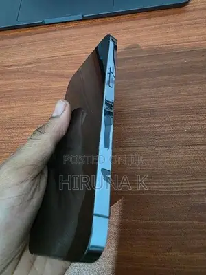 Apple iPhone 13 Pro 256GB (Used)