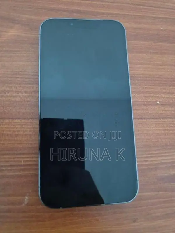 Apple iPhone 13 Pro 256GB (Used)