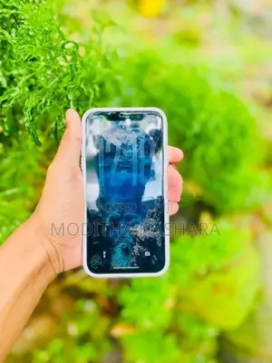 Apple iPhone 11 (Used)