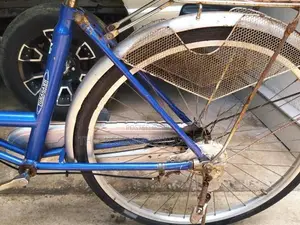 Tomahawk Ladies Bicycle