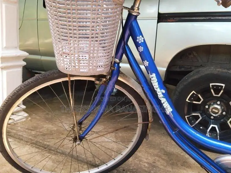 Tomahawk Ladies Bicycle