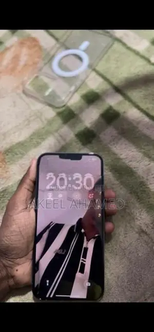 Apple iPhone 13 Pro Max (Used)