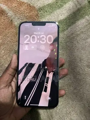 Apple iPhone 13 Pro Max (Used)