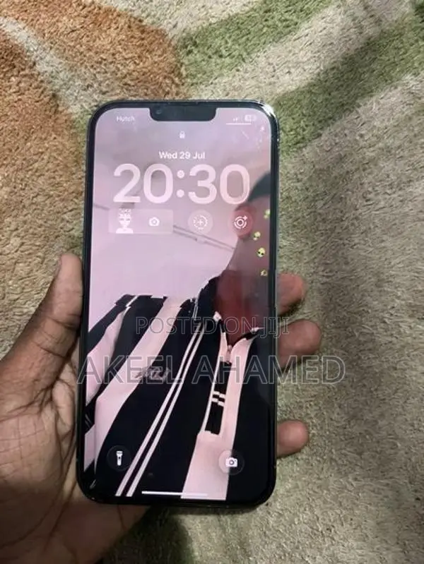 Apple iPhone 13 Pro Max (Used)