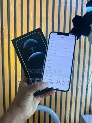 Apple iPhone 12 Pro Max 256GB (Used)