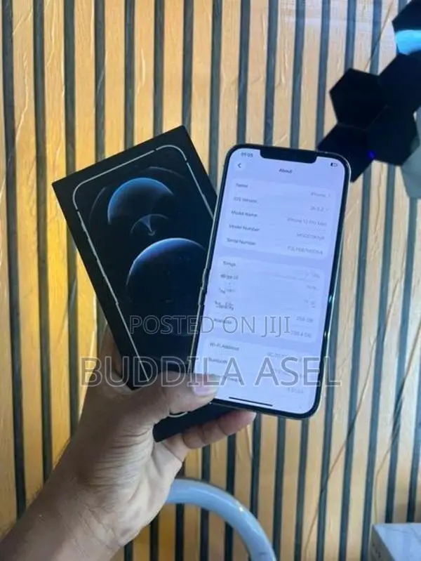 Apple iPhone 12 Pro Max 256GB (Used)