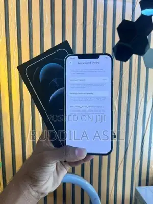 Apple iPhone 12 Pro Max 256GB (Used)