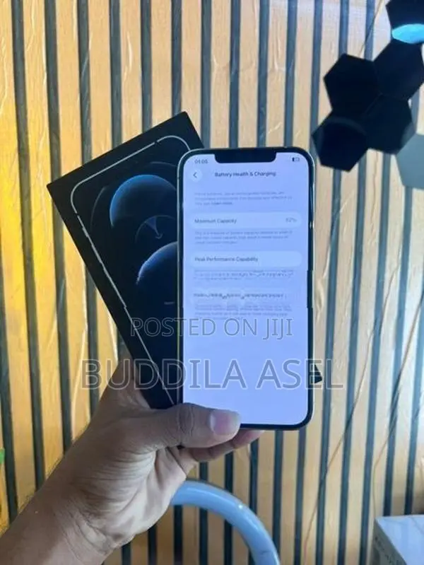 Apple iPhone 12 Pro Max 256GB (Used)