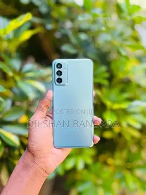 Samsung Buddy 2 (Used)