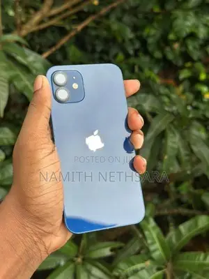 Apple iPhone 12 (Used)