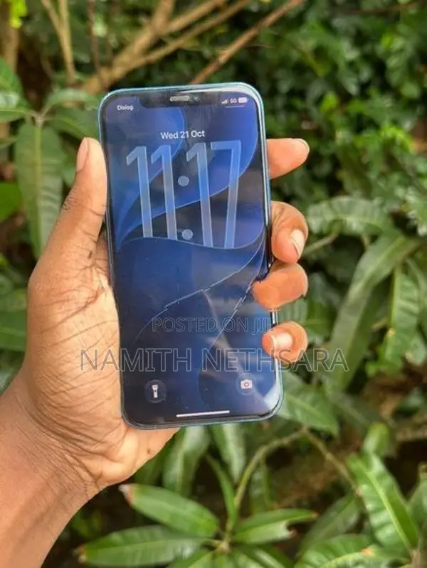 Apple iPhone 12 (Used)