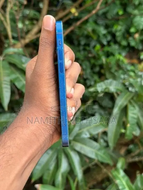 Apple iPhone 12 (Used)