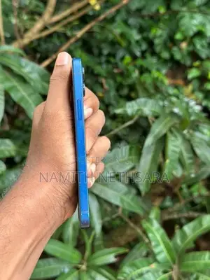 Apple iPhone 12 (Used)