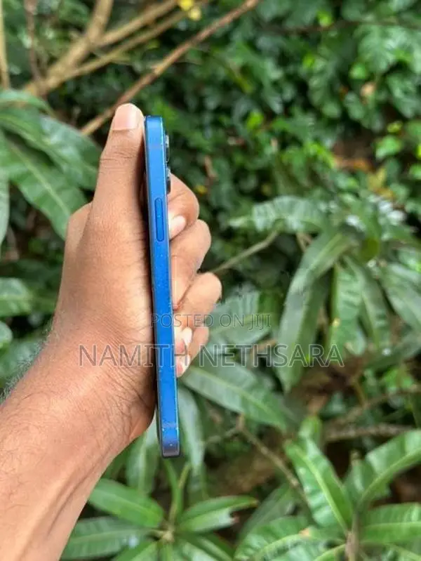 Apple iPhone 12 (Used)
