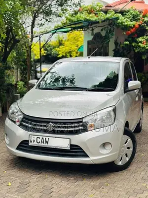 Suzuki Celerio Zxi 2017 Car (Used)