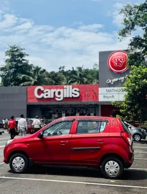 Suzuki Alto 800 2015 Car (Used)