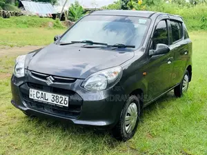 Suzuki Alto 2015 Car (Used)