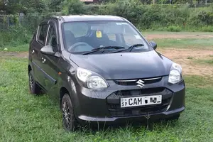 Suzuki Alto 2015 Car (Used)