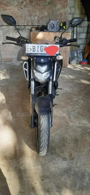 Yamaha FZ-S 2019 Motorbike (Used)