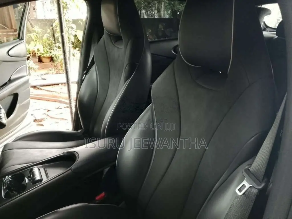 BYD Dolphin 2025 Car (Used)